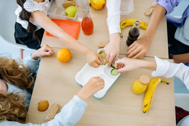 Lunch as Lesson: What Japan's School Meal Ritual Reveals About the One Thing Affluent American Families Are Failing to Teach