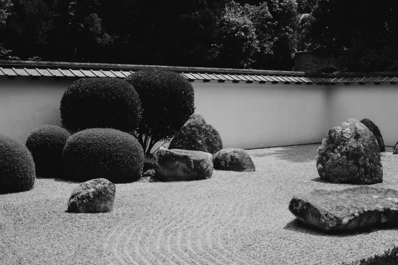 Stillness as Strategy: How the Japanese Art of Purposeful Waiting Is Reshaping American Ambition